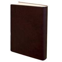 Afghan/Pakistani (Dari) Bible - Dari Bible - Burgundy Softcover - Limited Stock Only