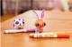 Crayola Scribble Scrubbie Pets - Pet Pack (Rabbit and Hampster) - New