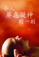 A Breathtaking Moment (Simplified Chinese) - Ian Carmichael - Leaflet