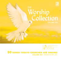 The Worship Collection Volume 6 : Shout For Joy  - CD - Limited Stock - Out of Print