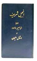 Persian (Farsi) Bible - Persian (Farsi) Slimline New Testament with Psalms & Proverbs - Navy Vinyl