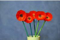 Anzac Day Poppies