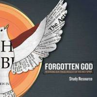 Study Resource - Forgotten God : Reversing Our Tragic Neglect Of The Holy Spirit - Francis Chan - DVD