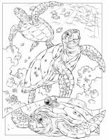 World Ocean Day Colouring Page