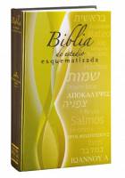 Spanish Bible - Biblia Estudio de Esquematizada - Spanish Study Bible - Hardcover - Special Order