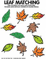 Free Activity Sheet - Match the Leaves